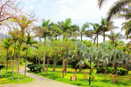 铁板尼克鸡扒饭