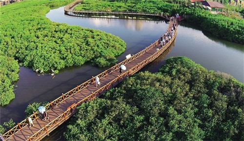 车鲁班汽车美容