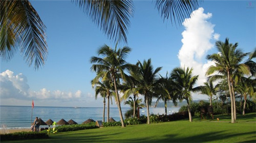 围炉海鲜烤肉自助品牌的发展前景怎么样，围炉海鲜烤肉自助加盟评价如何