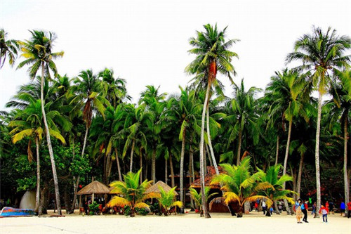 恐怖拉锁小游戏怎么玩的（恐怖拉面游戏）